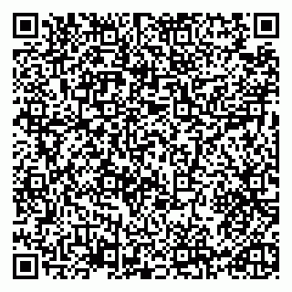 vCard 79965730104