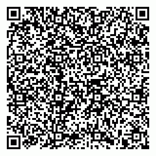 vCard 79965730127