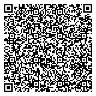 vCard 79965730133