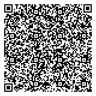 vCard 79965730140