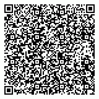 vCard 79965730141