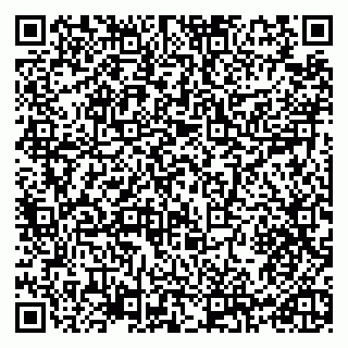 vCard 79965730163