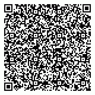 vCard 79965730201