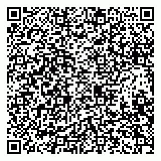 vCard 79965730299