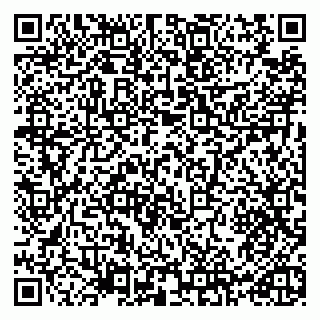 vCard 79965730303