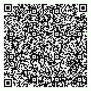 vCard 79965730331