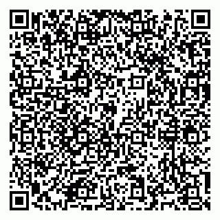 vCard 79965730335