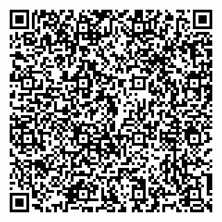 vCard 79965731629