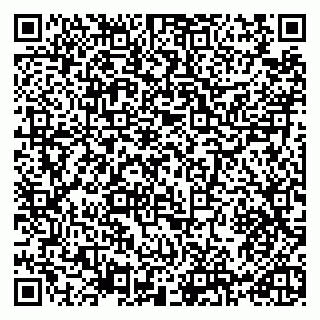 vCard 79965731631