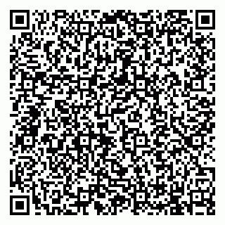 vCard 79965731671