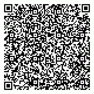 vCard 79965731681