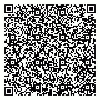 vCard 79965731687