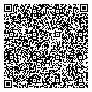 vCard 79965731703