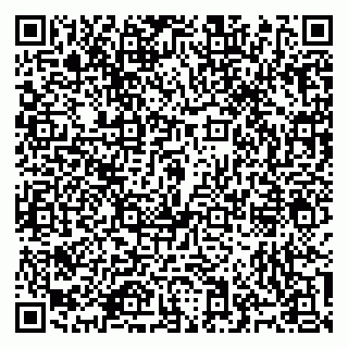vCard 79965731711