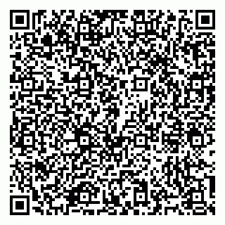 vCard 79965731713