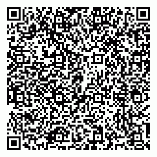 vCard 79965731728
