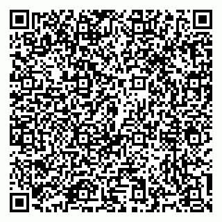 vCard 79965731729