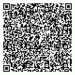 vCard 79965731735