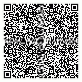 vCard 79965731741