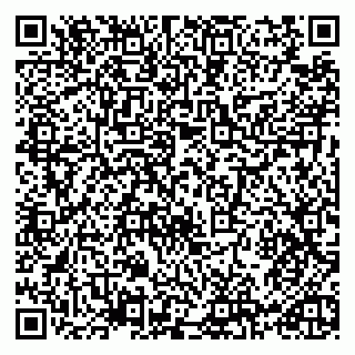 vCard 79965731781