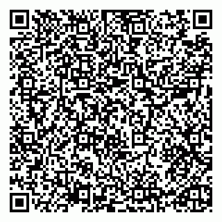 vCard 79965731800