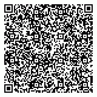 vCard 79965731803