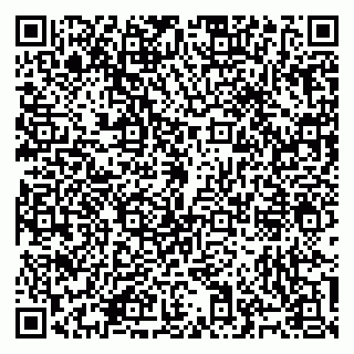 vCard 79965731813