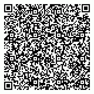 vCard 79965731819