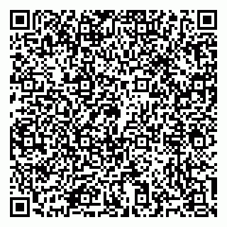 vCard 79965731825