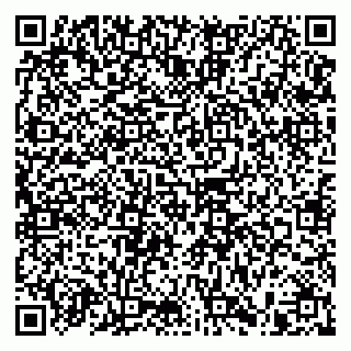 vCard 79965731827