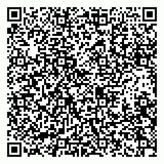 vCard 79965731831