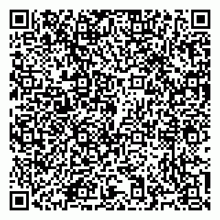 vCard 79965731833