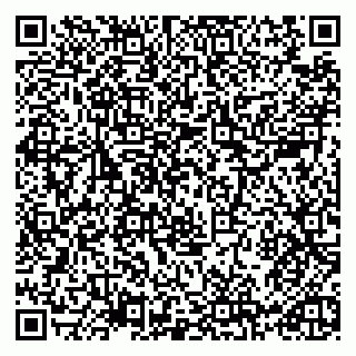 vCard 79965731894