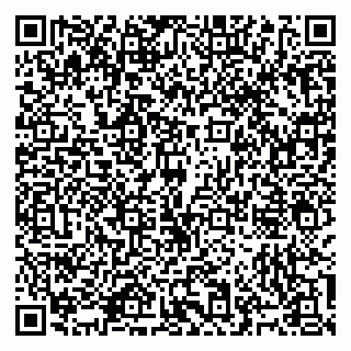 vCard 79965731909