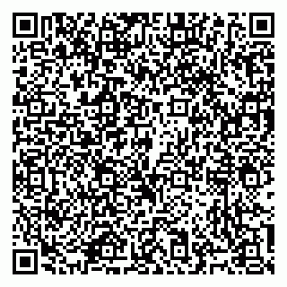 vCard 79965731933