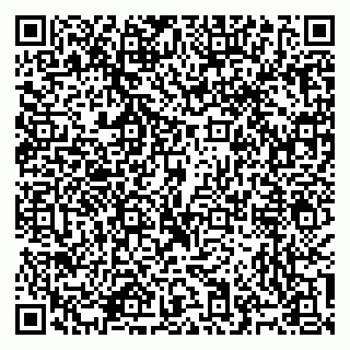 vCard 79965731968