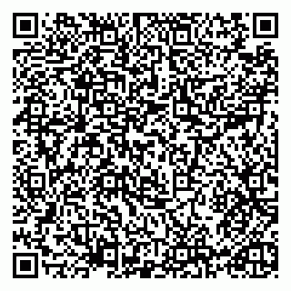 vCard 79965731994