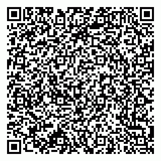 vCard 79966260004