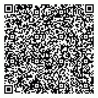 vCard 79966260174