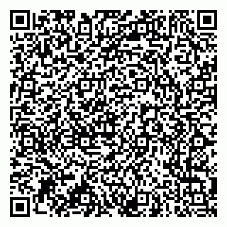 vCard 79966260203