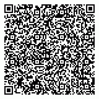 vCard 79966260233