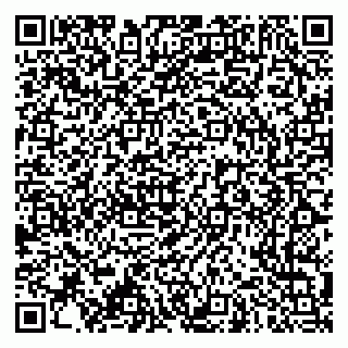 vCard 79966260288