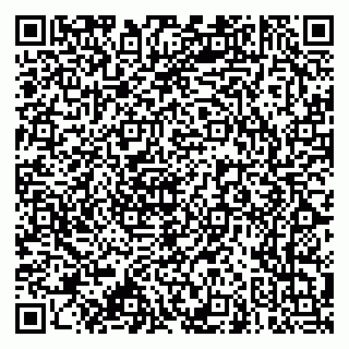 vCard 79966260333