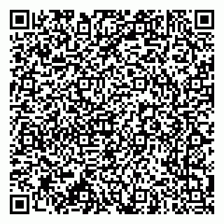 vCard 79966260381