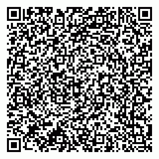 vCard 79966260385