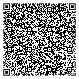 vCard 79966260389