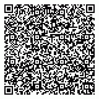 vCard 79968000739