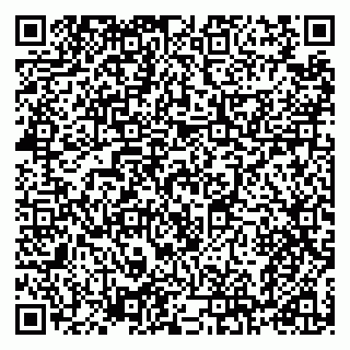 vCard 79968960313