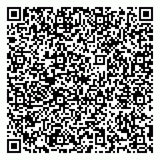 vCard 79968960383