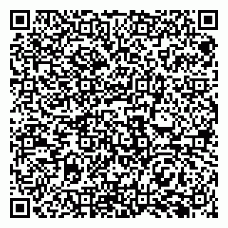 vCard 79969383003